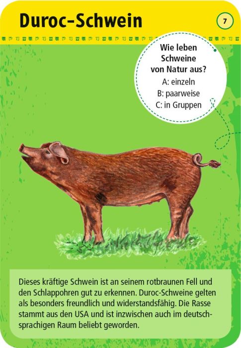 50 Tiere auf dem Bauernhof